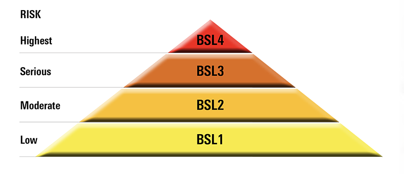 Bio Safety Levels